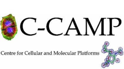 Partner Logo 5